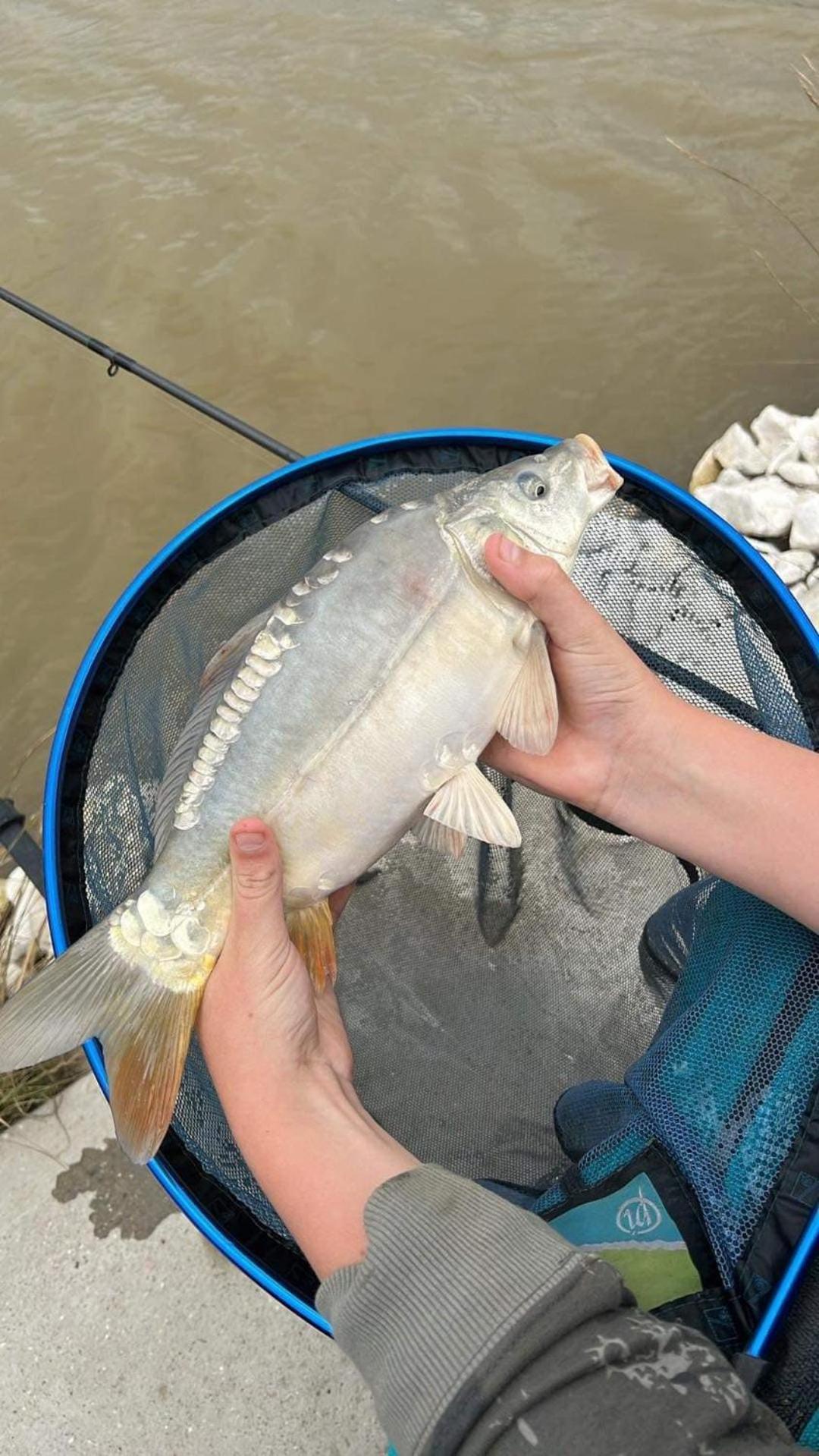 Lakeside Fishing Retreats Βοστώνη Δωμάτιο φωτογραφία