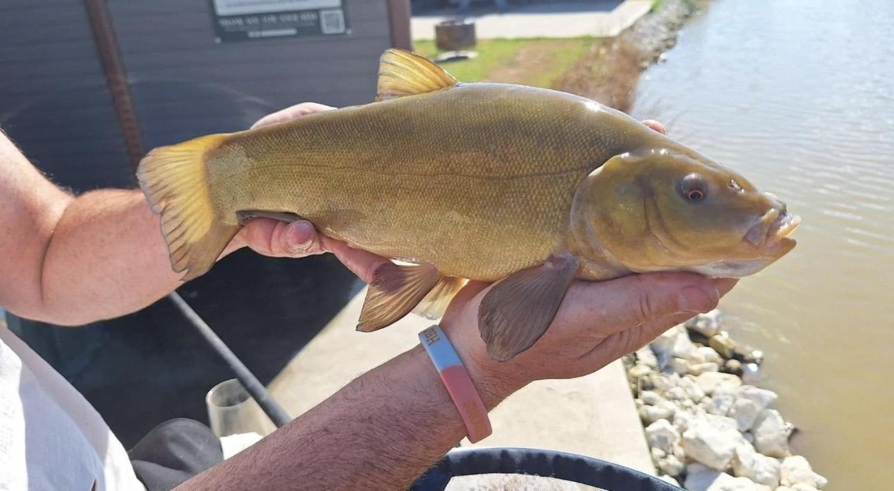 Lakeside Fishing Retreats Βοστώνη Δωμάτιο φωτογραφία