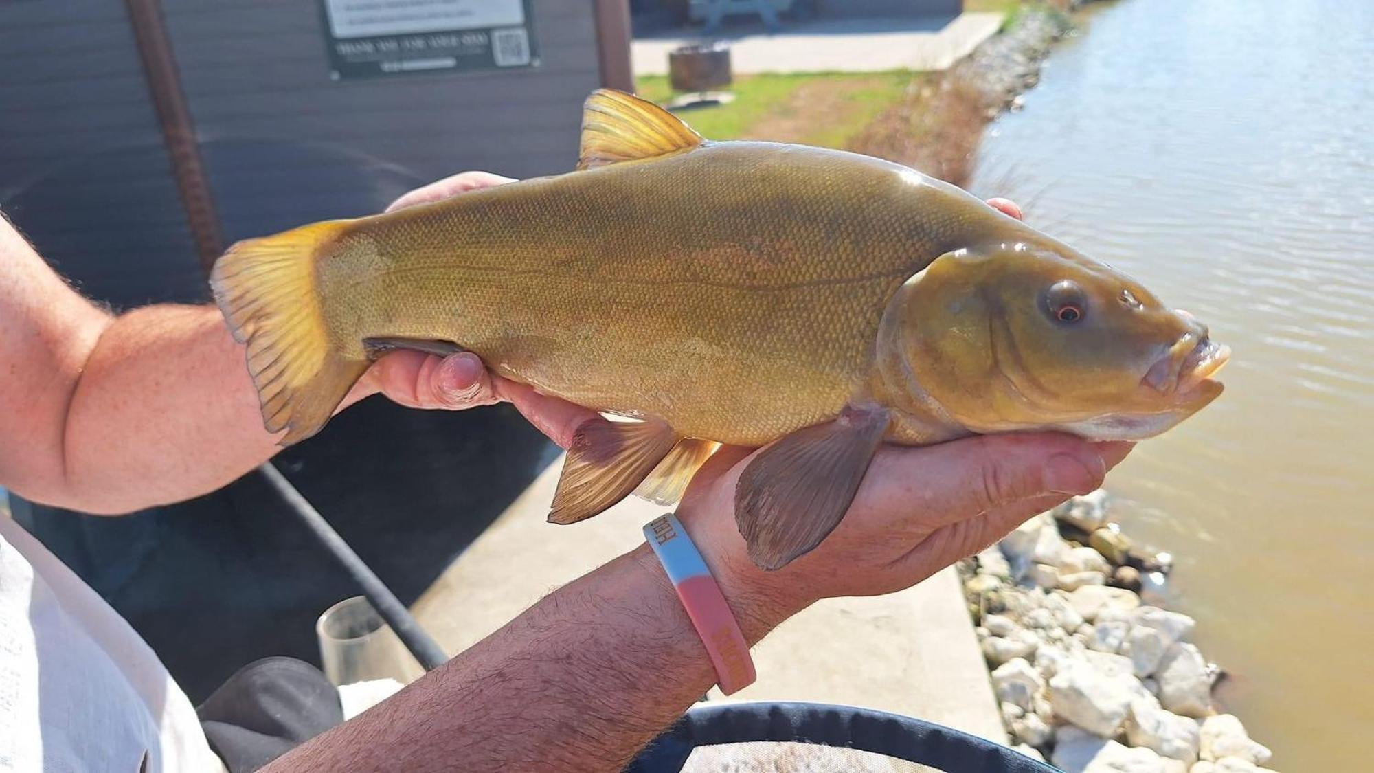 Lakeside Fishing Retreats Βοστώνη Δωμάτιο φωτογραφία