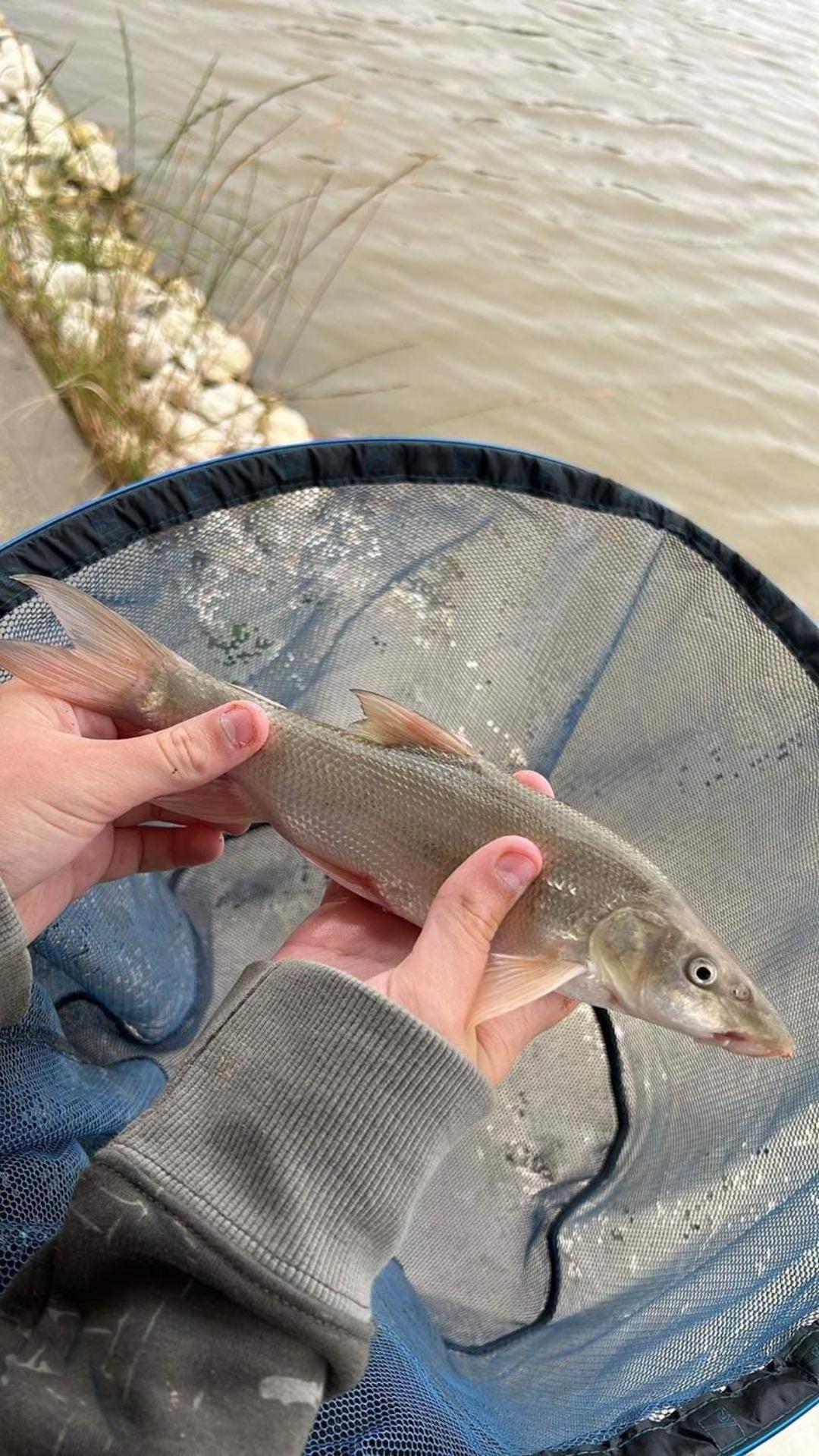 Lakeside Fishing Retreats Βοστώνη Δωμάτιο φωτογραφία
