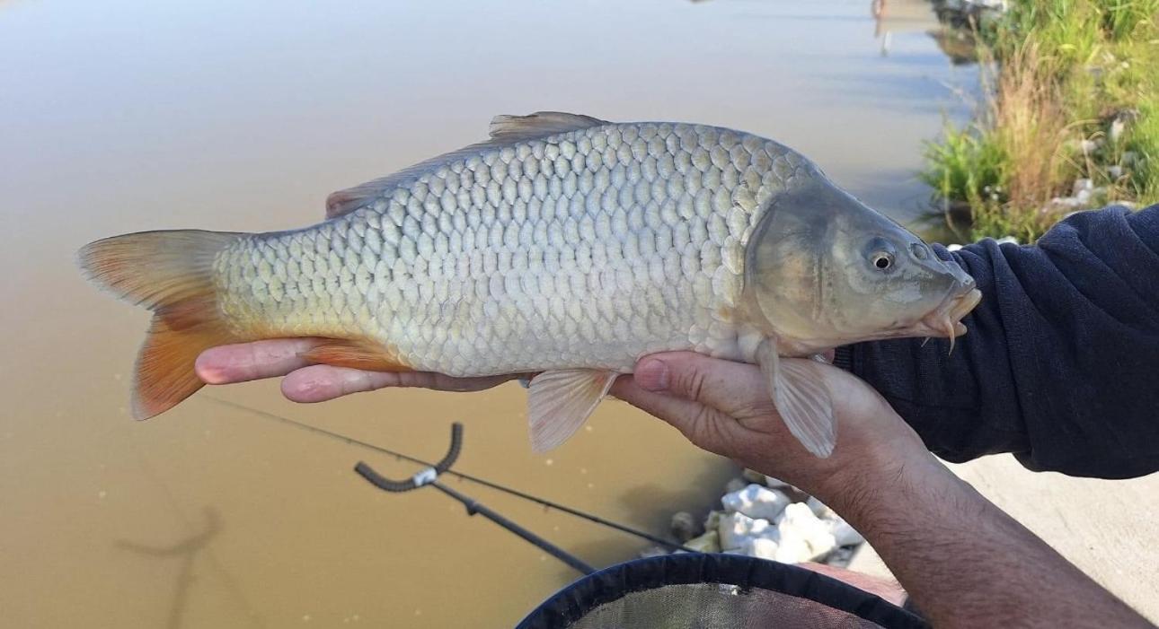 Lakeside Fishing Retreats Βοστώνη Δωμάτιο φωτογραφία