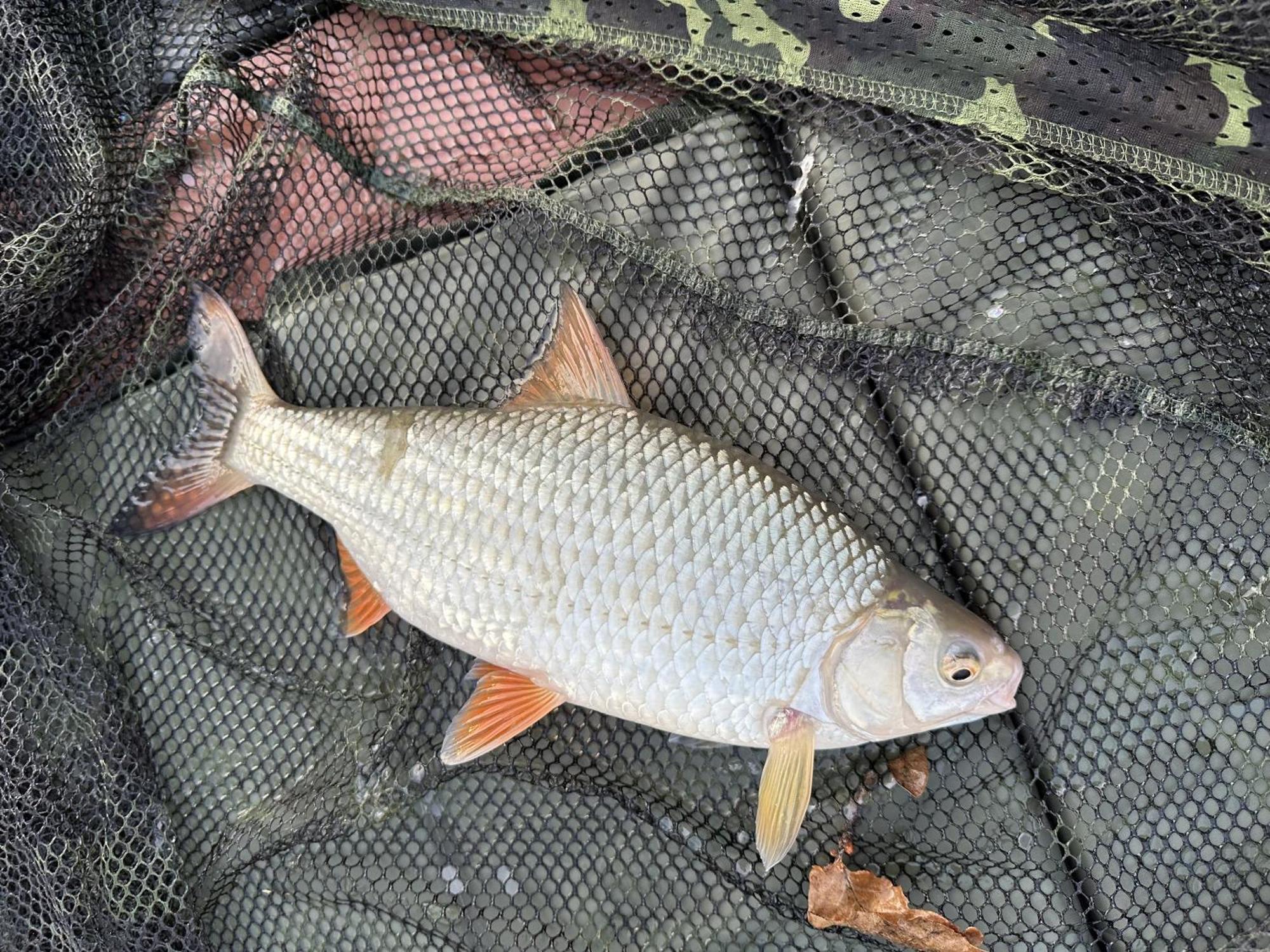 Lakeside Fishing Retreats Βοστώνη Δωμάτιο φωτογραφία